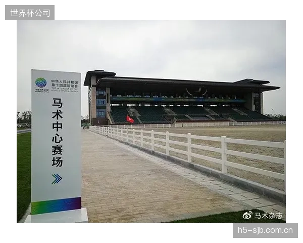 超过80%的FEI五星级障碍赛已将赛前横杆声学探伤列为强制性器材检查环节